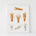 white wood framed squid varieties print wall art
